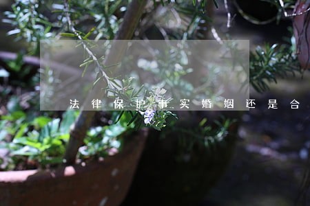 法律保护事实婚姻还是合法婚姻