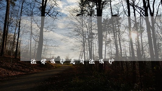 法律保护是司法保护 法律保护是司法保护
