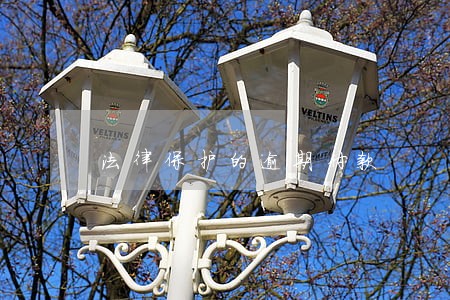 法律保护的逾期付款 法律保护的逾期付款