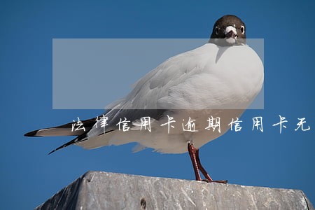 法律信用卡逾期信用卡无力偿还 法律信用卡逾期信用卡无力偿还