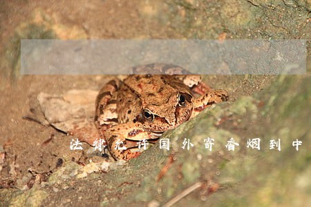 法律允许国外寄香烟到中国吗 法律允许国外寄香烟到中国吗