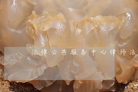 法律公共服务中心律师法律咨询 法律公共服务中心律师法律咨询