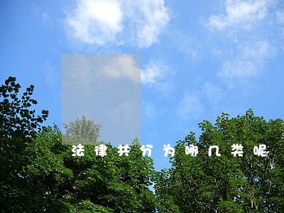 法律共分为哪几类呢 法律共分为哪几类呢
