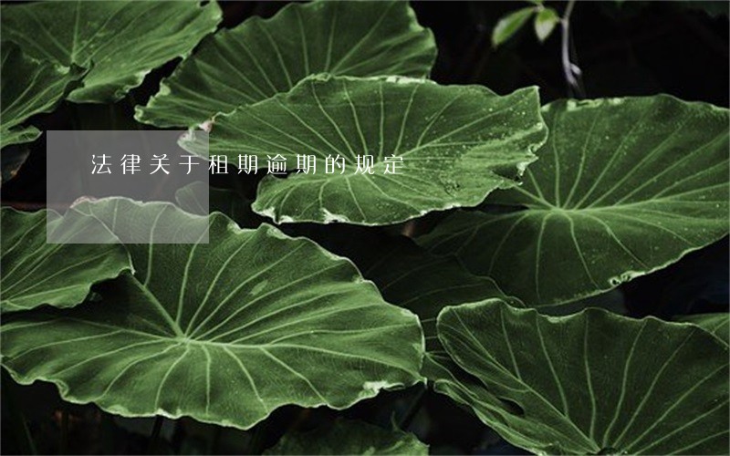 法律关于租期逾期的规定 法律关于租期逾期的规定
