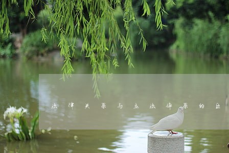 法律关系与立法体系的区别是 法律关系与立法体系的区别是