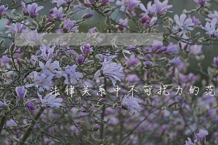 法律关系中不可抗力的范畴