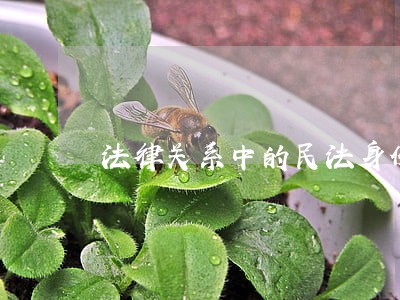 法律关系中的民法身份关系