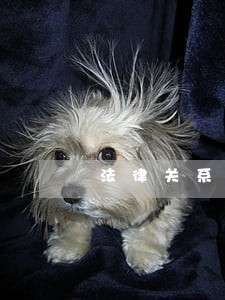 法律关系主体的权利和义务 法律关系主体的权利和义务