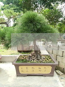 法律关系发生变更直接原因