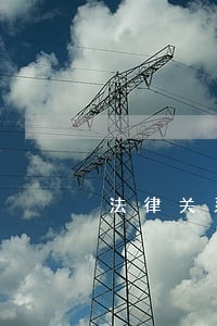 法律关系可视化图表软件