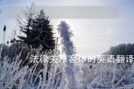 法律关系客体的英语翻译 法律关系客体的英语翻译