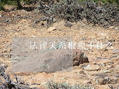 法律关系根源于什么 法律关系根源于什么