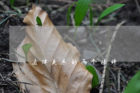 法律关系的两个条件 法律关系的两个条件