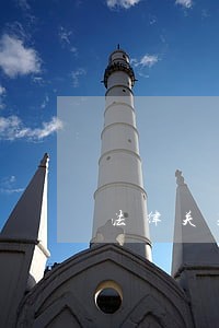 法律关系的主体权利能力 法律关系的主体权利能力