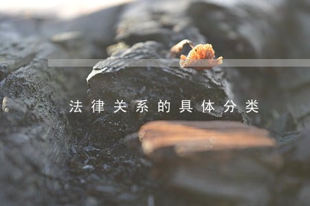 法律关系的具体分类 法律关系的具体分类