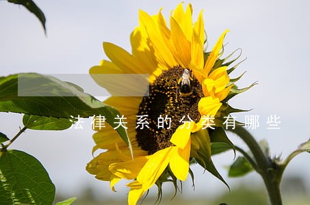法律关系的分类有哪些 法律关系的分类有哪些