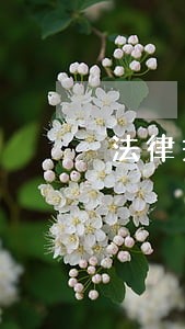 法律关系的四要素 法律关系的四要素