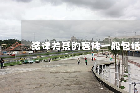 法律关系的客体一般包括 法律关系的客体一般包括
