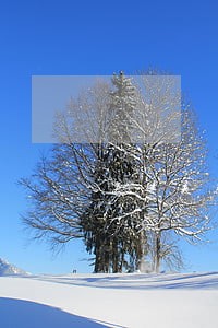法律关系的客体公民人格 法律关系的客体公民人格