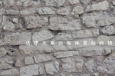 法律关系的客体是标的物所有权 法律关系的客体是标的物所有权