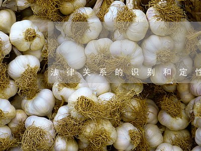法律关系的识别和定性