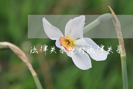 法律关系绝对法律关系