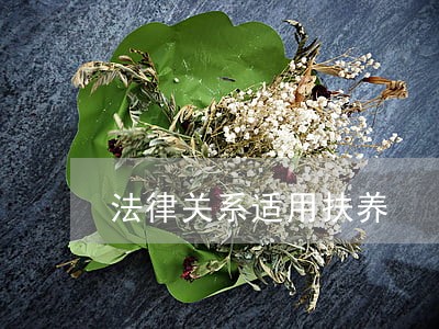 法律关系适用扶养