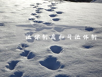 法律制度和司法体制