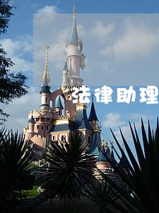 法律助理英文怎么写 法律助理英文怎么写