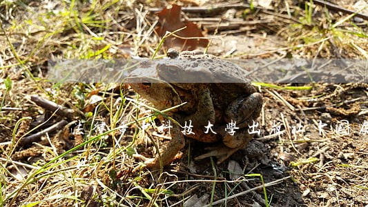 法律华中科技大学出版社中国农业大学出版社 法律华中科技大学出版社中国农业大学出版社