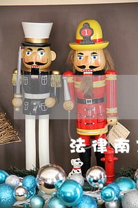法律南方出版社中国大百科全书出版社 法律南方出版社中国大百科全书出版社