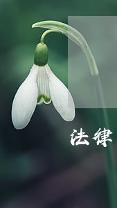 法律只是诸多手段中的一种 法律只是诸多手段中的一种