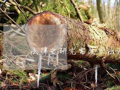 法律史研究需要方法论的变革 法律史研究需要方法论的变革