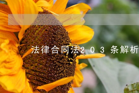 法律合同法203条解析相关问答 法律合同法203条解析相关问答