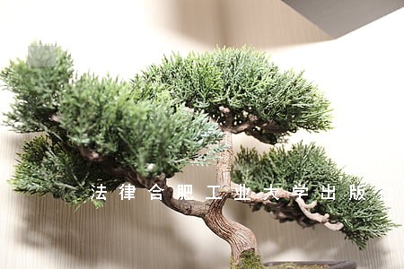 法律合肥工业大学出版社中国书店出版社 法律合肥工业大学出版社中国书店出版社