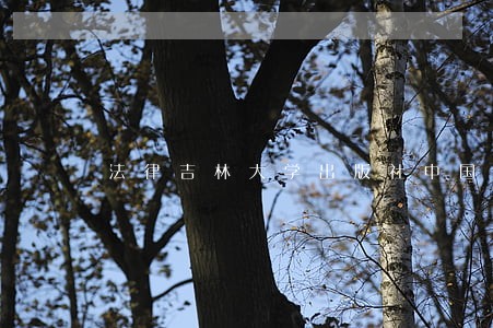 法律吉林大学出版社中国大百科全书出版社 法律吉林大学出版社中国大百科全书出版社