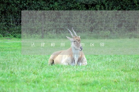 法律和刑法的区别