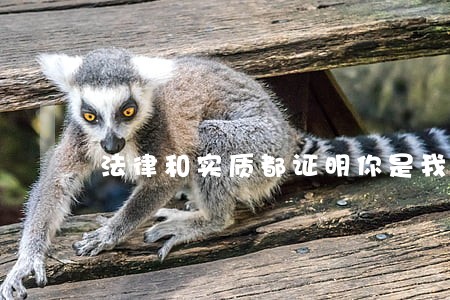 法律和实质都证明你是我媳妇儿 法律和实质都证明你是我媳妇儿