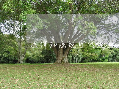 法律和法规可以设定各种行政处罚 法律和法规可以设定各种行政处罚