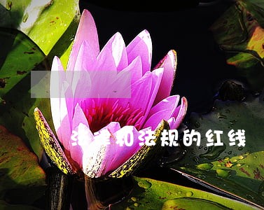 法律和法规的红线