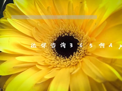 法律咨询365啊App 法律咨询365啊App