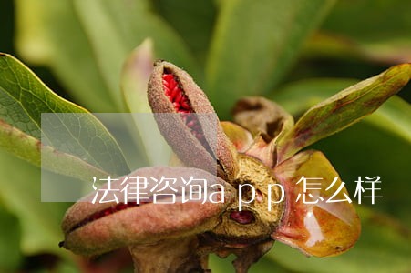 法律咨询app怎么样 法律咨询app怎么样