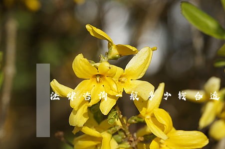 法律咨询一般多少钱合适 法律咨询一般多少钱合适