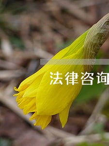 法律咨询丈夫出轨 法律咨询丈夫出轨