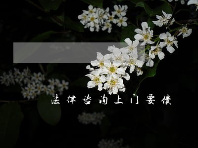 法律咨询上门要债 法律咨询上门要债