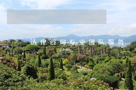 法律咨询专业团队服务