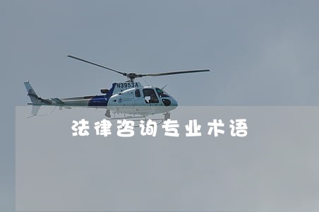 法律咨询专业术语 法律咨询专业术语