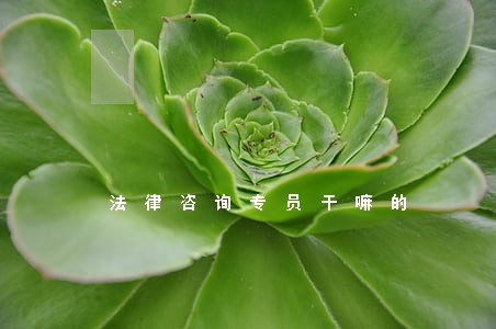 法律咨询专员干嘛的 法律咨询专员干嘛的