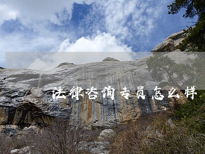 法律咨询专员怎么样 法律咨询专员怎么样