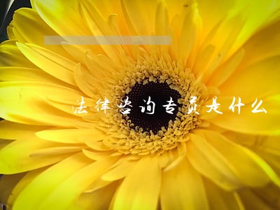 法律咨询专员是什么 法律咨询专员是什么